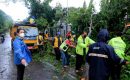 Walikota Tangerang Tinjau Langsung Evakuasi Pohon Tumbang